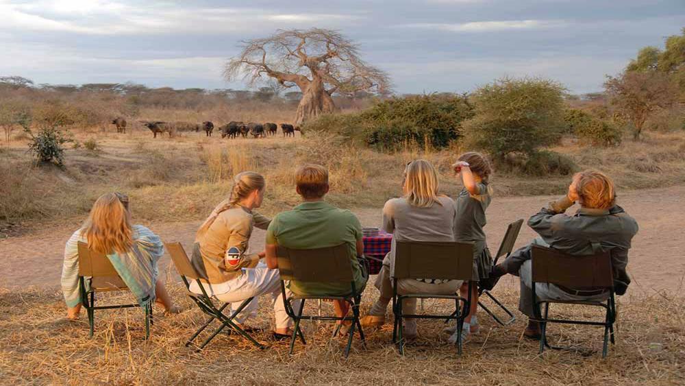 Family Safari in Ruaha National Park