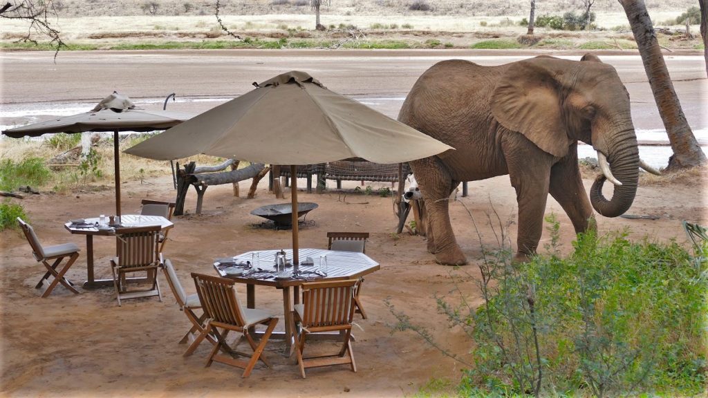 Elephant Bedroom Camp Luxury Camp in Samburu Game Reserve