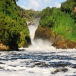 2 Days Murchison Falls Safari from Masindi | 3 Days Murchison Falls Safari