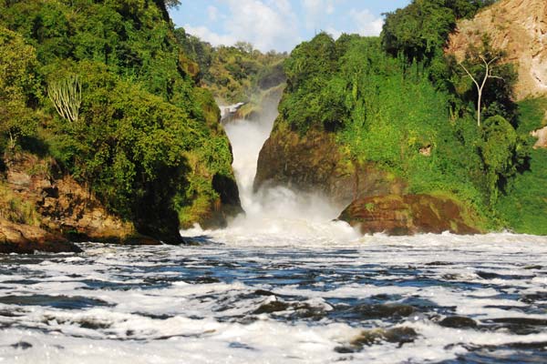 2 Days Murchison Falls Safari from Masindi | 3 Days Murchison Falls Safari