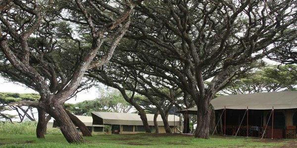 Lemala – Ngorongoro Camp1