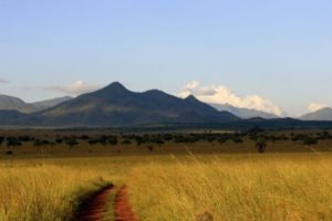 Kidepo Safaris - from sipi river lodge