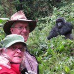 Gorilla Trekking in Uganda or Rwanda is it really worth it
