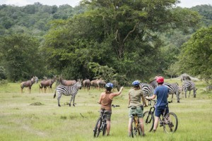 Bush Biking