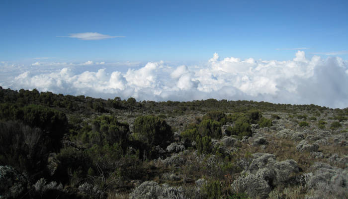 kilimanjaro-weather-clouds