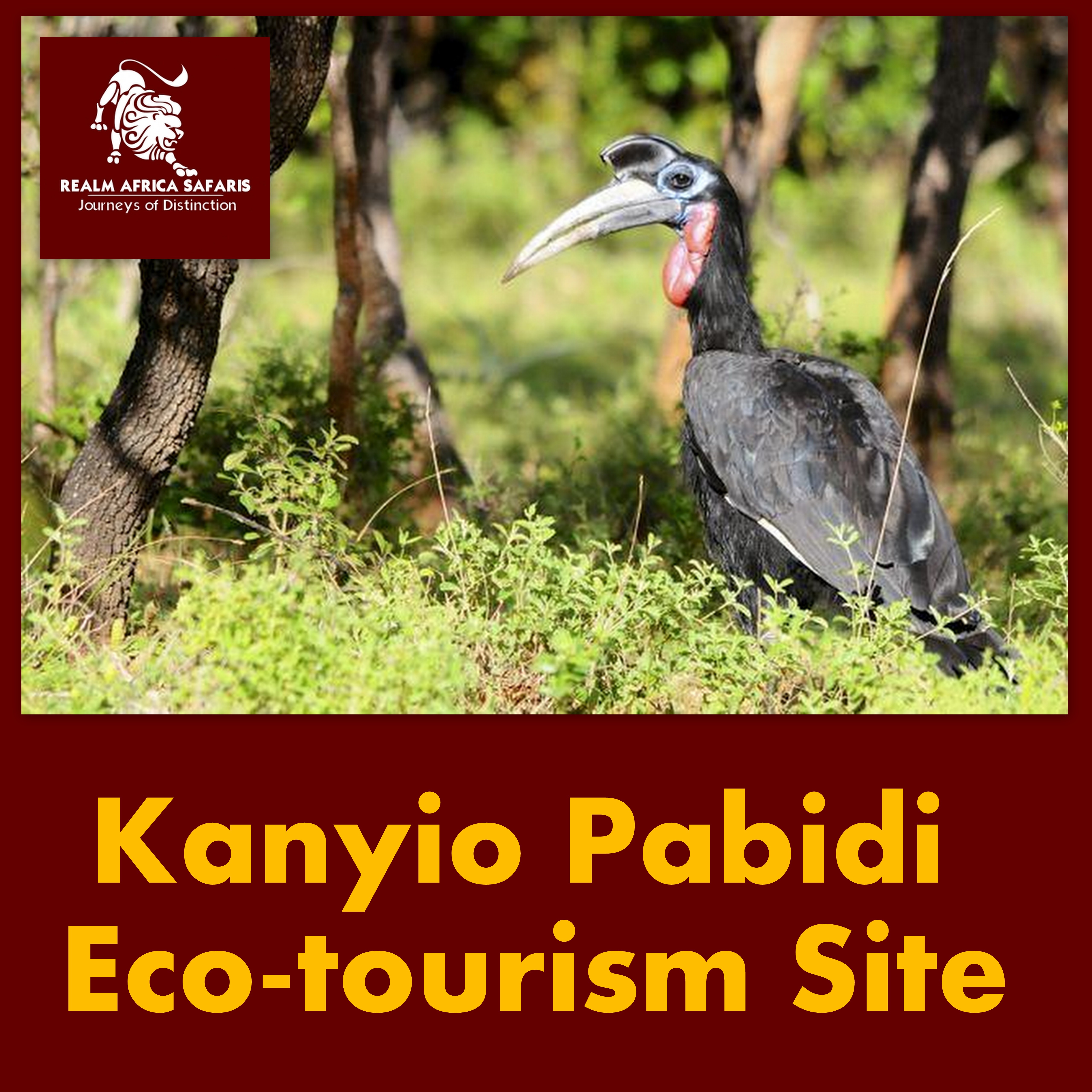 Kanyio Pabidi Eco-tourism site