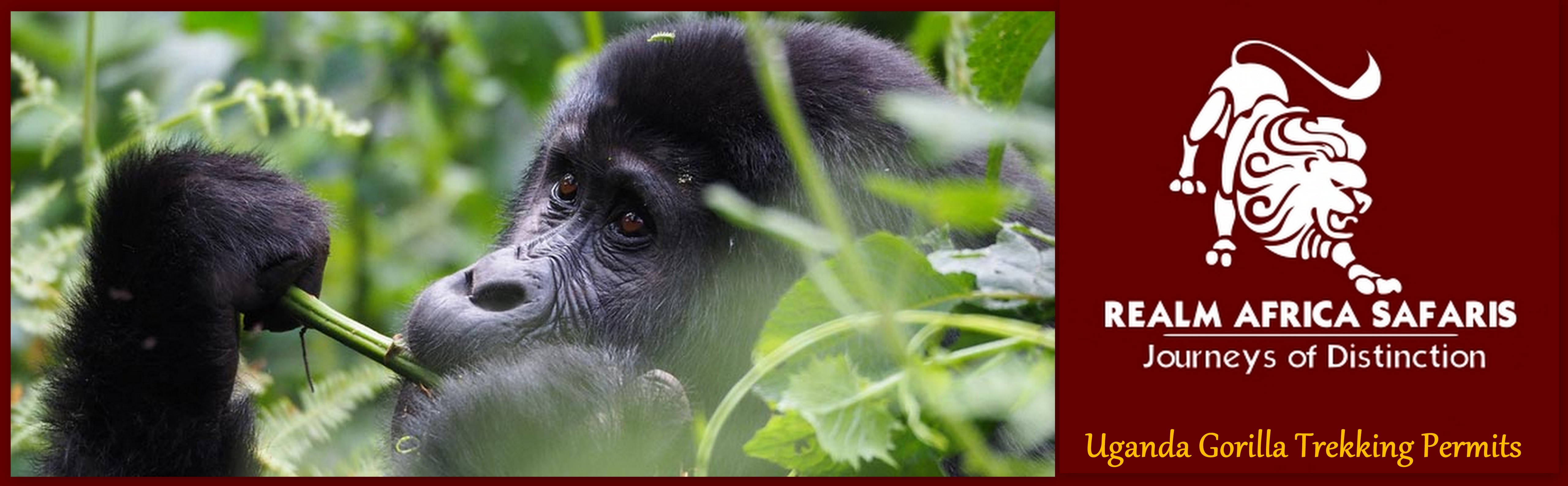 Uganda gorilla permit Prices