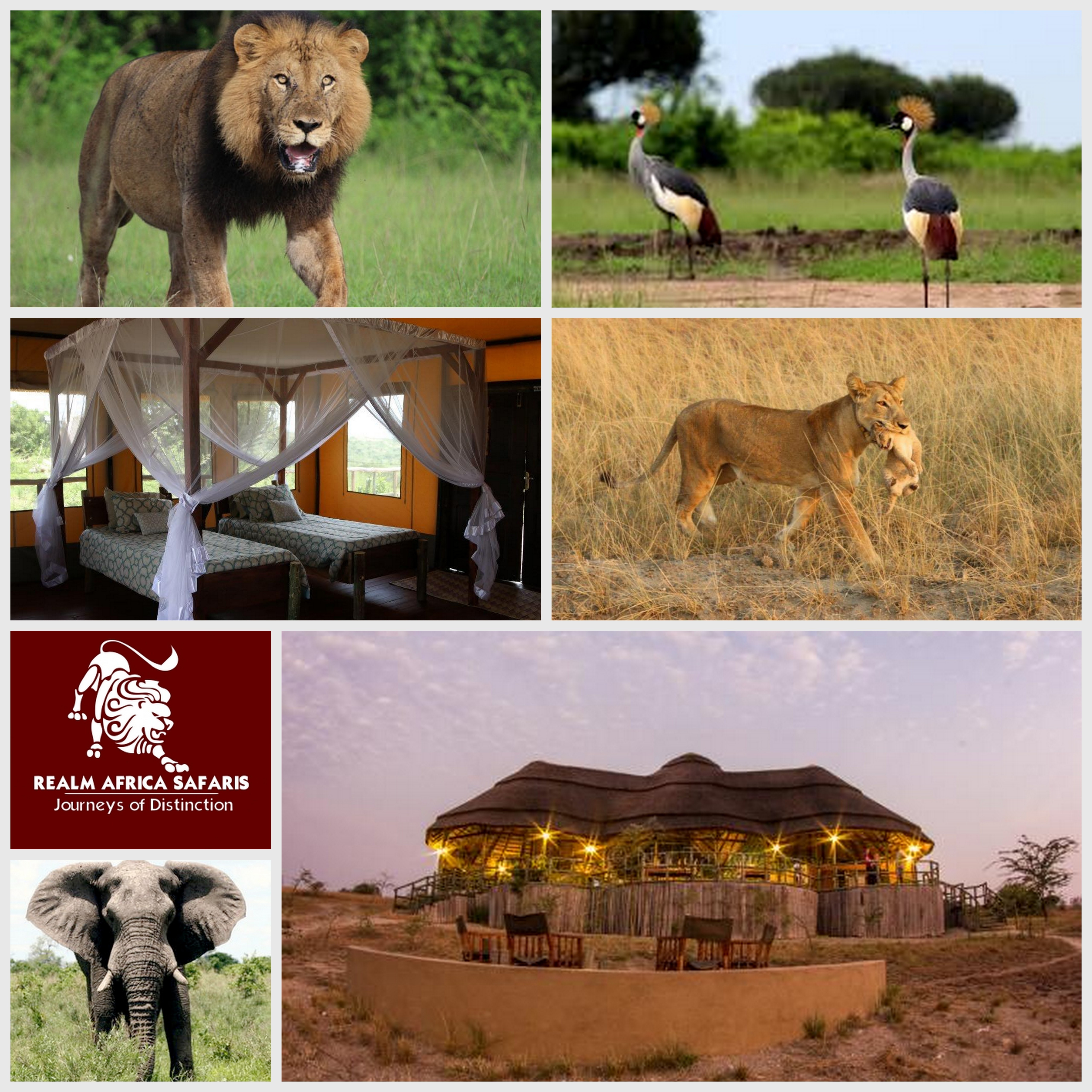 Kasenyi Safari Camp - Queen Elizabeth National Park - Uganda