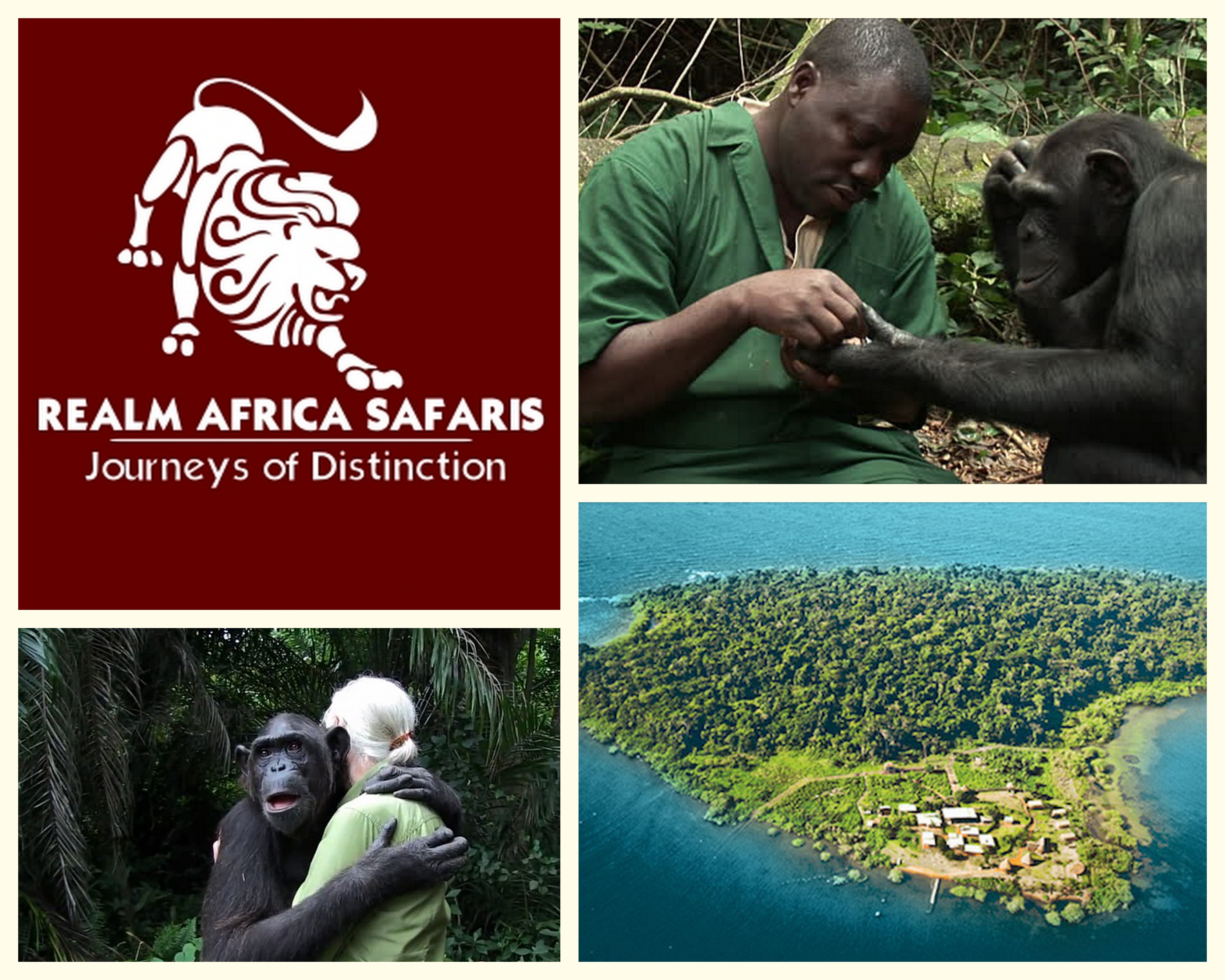 Ngamba trail formerly Ngamba Island - Chimp Sanctuary forest walk