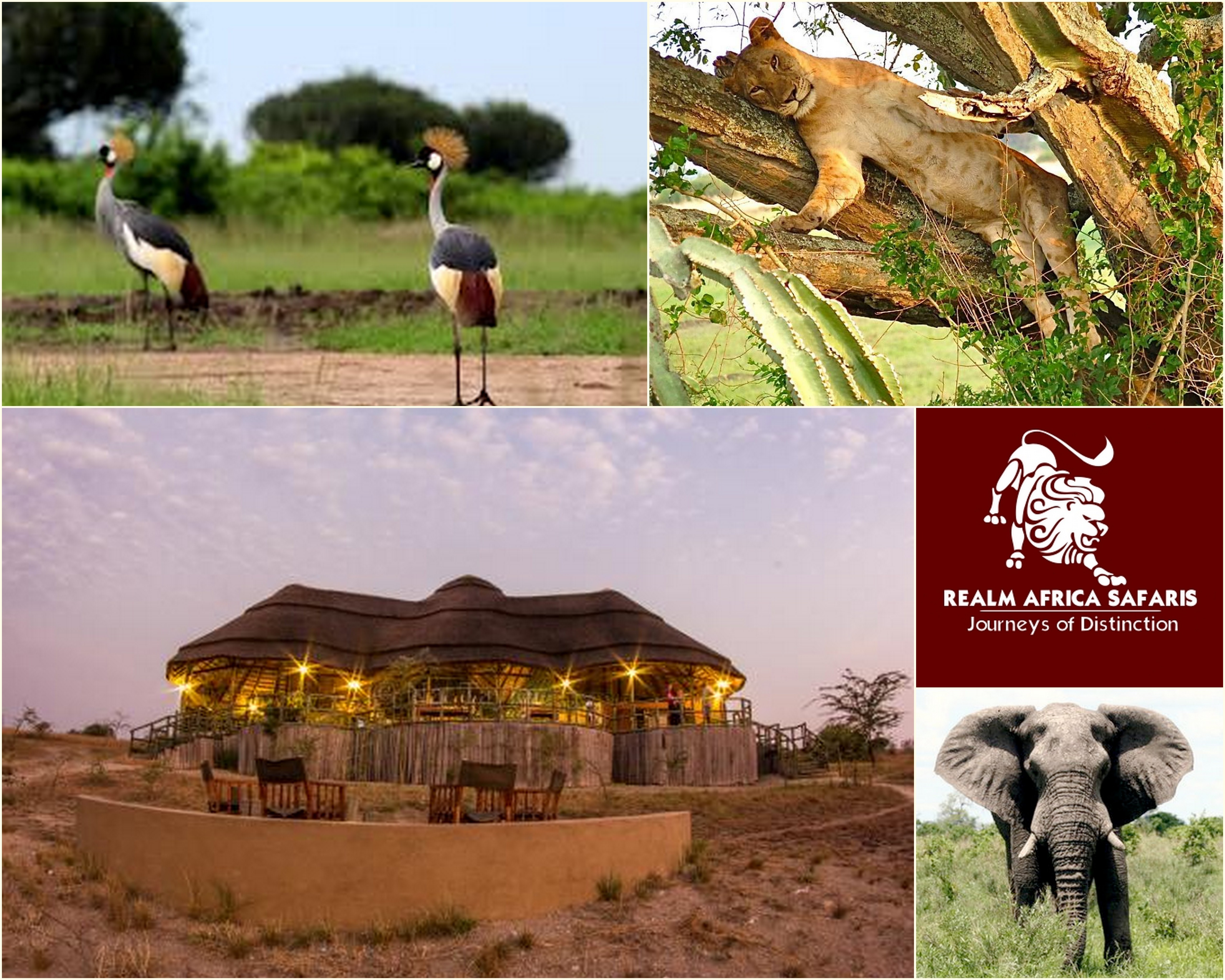 Things to do and See at Kasenyi Safari Camp - Queen Elizabeth National Park