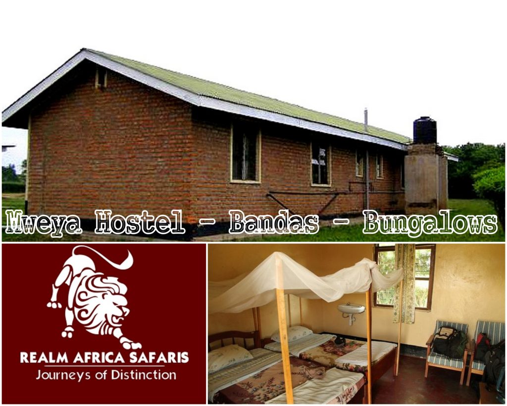 Budget Safari Accommodation inside the parks of Uganda | Mweya Hostel - Students Centre - family Bungalows | Realm Africa Safaris - Journeys of Distinction