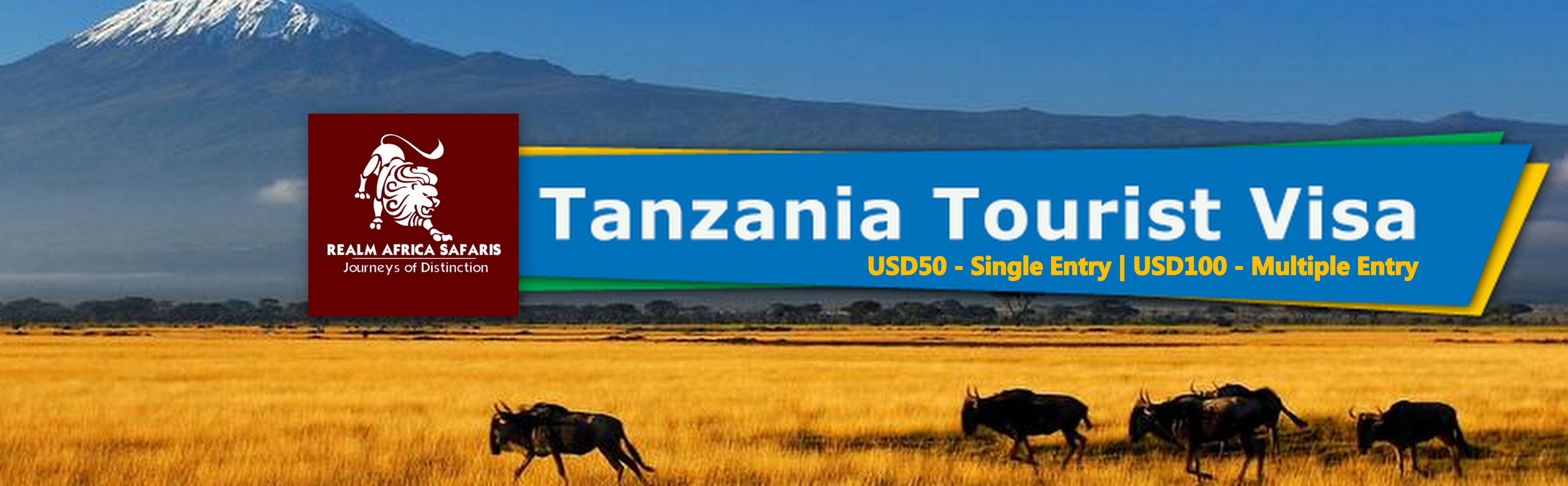 tanzania tourist visa cost