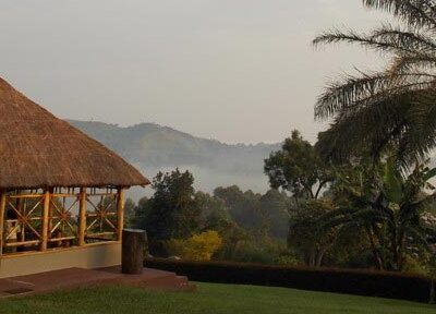 Chimanzee Guest House Kibale Chimanzee Guest House Kibale