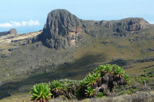 Mount Elgon Safaris from Sipi River Lodge