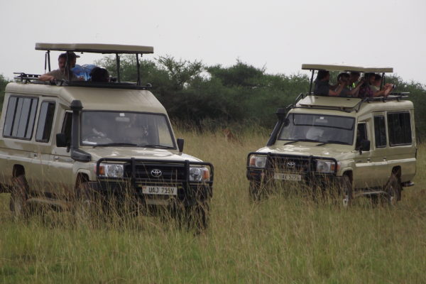 Toyota Landcruiser