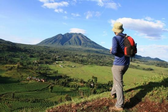 Golden Monkey Trekking in Uganda