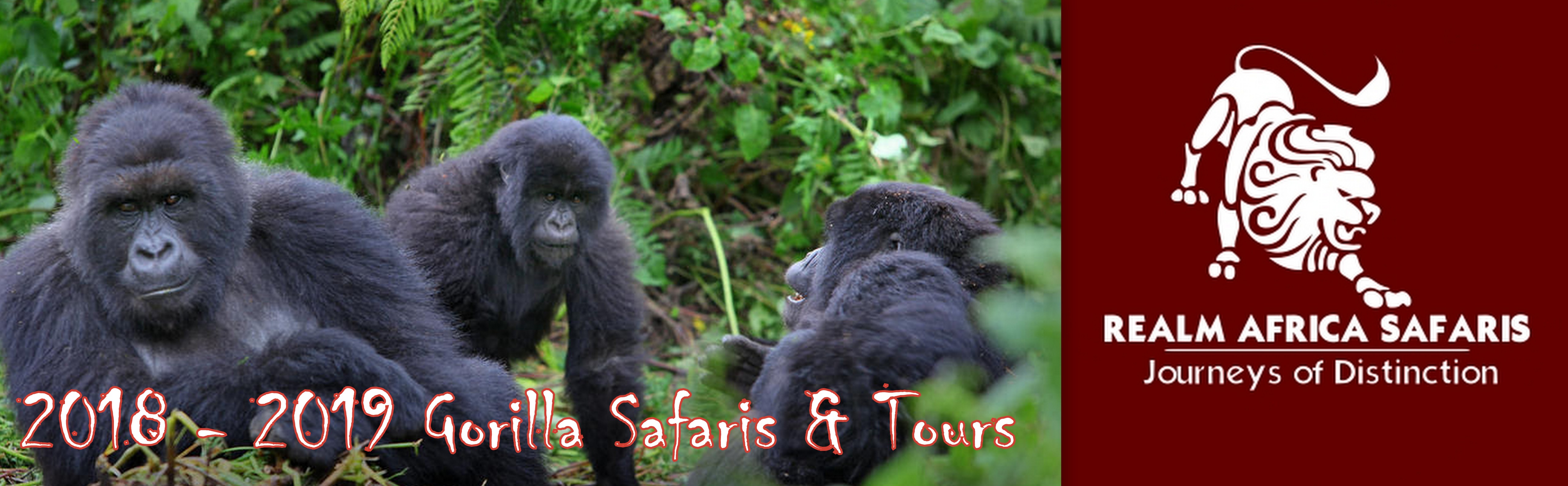 2018 - 2019 Gorilla Safaris | Realm Africa Safaris