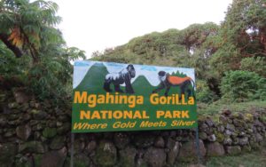 Things to see and Do in Mgahinga Gorilla National Park | Realm Africa Safaris