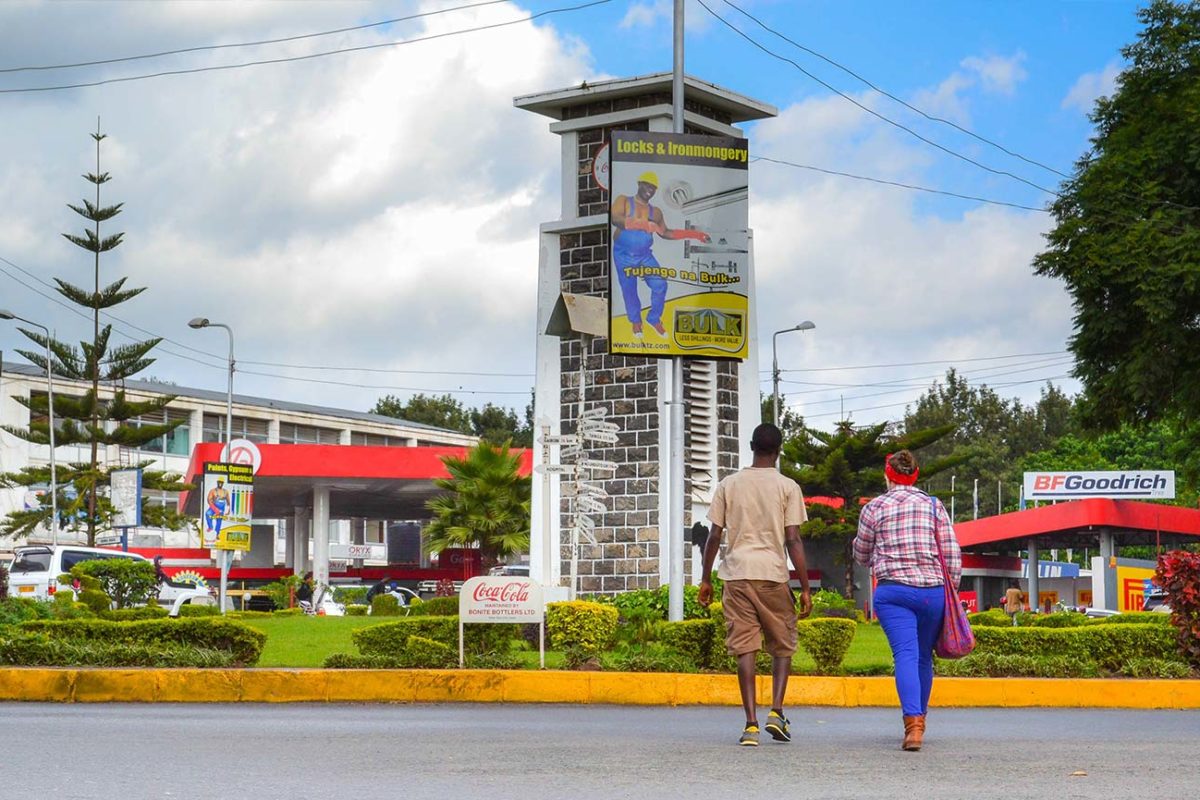 Arusha Town Guided Tour