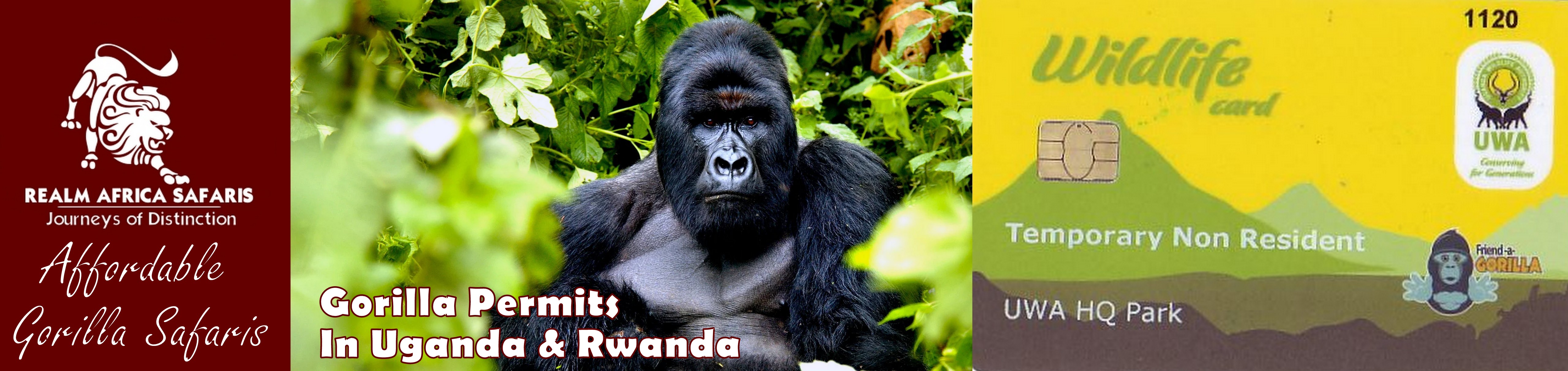 Gorilla Permits in Uganda & Rwanda