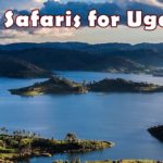 Uganda Safaris for ugandan citizens abroad