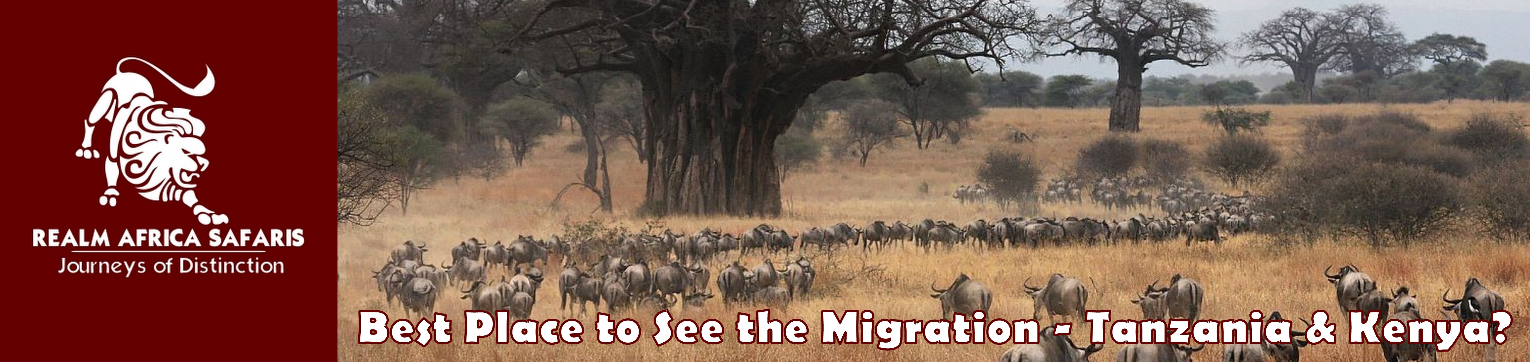 Best Place To see the wildebeest Migration - Kenya or Tanzania