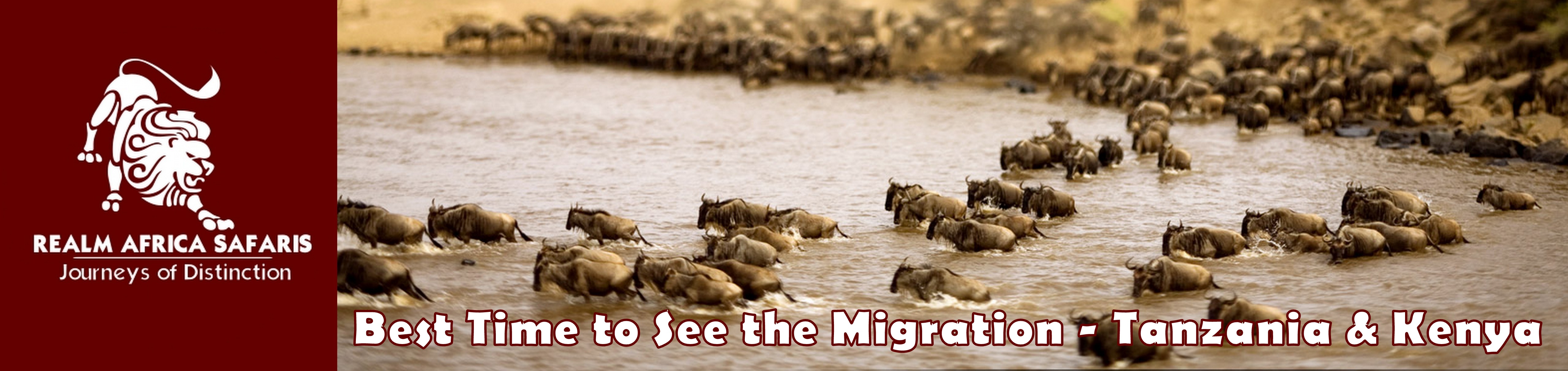 Best time to see the Wildebeest Migration