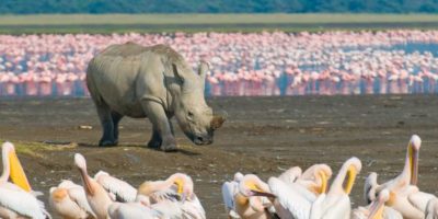 Lake Nakuru