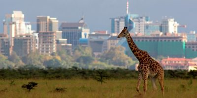 things to see and do in Nairobi