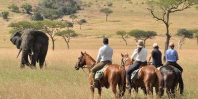 Kenya Horseback Safari