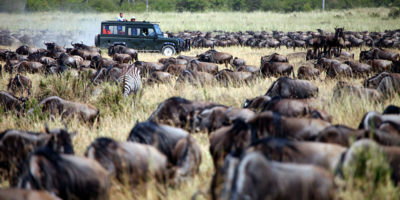 4 Days Kenya Safari to Lake Elementaita - Nakuru and Mara