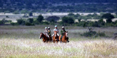 Loisaba - conservancy - Horseback Safaris