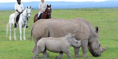 riding-with-rhinos - Laikipia Plateau