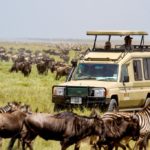 Renting a safari Car in Uganda