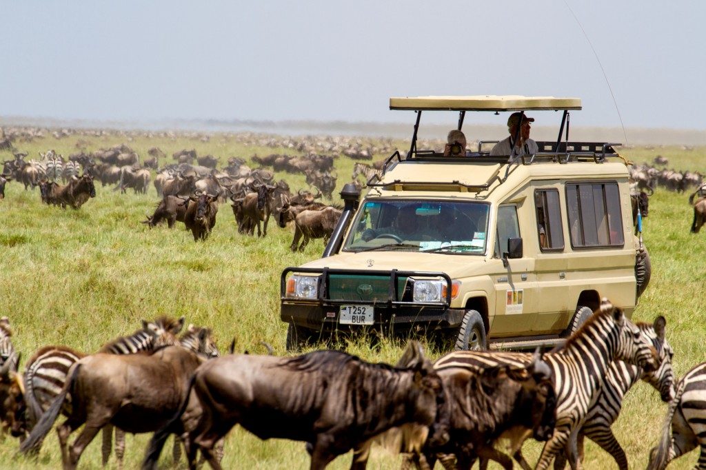 Renting a safari Car in Uganda
