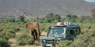 Game Drives Game Drives