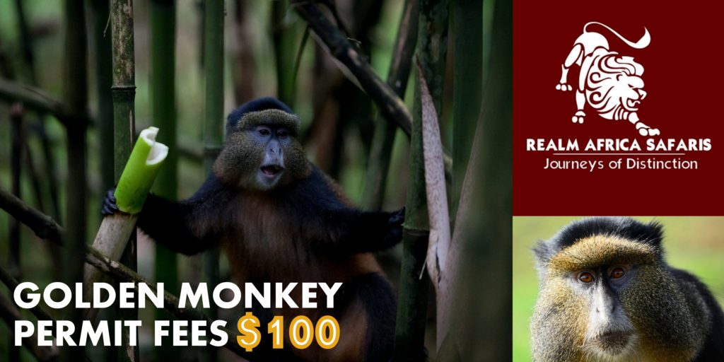 Golden Monkey Trekking Fees