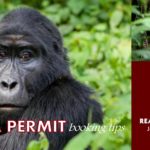 Gorilla Permit booking tips
