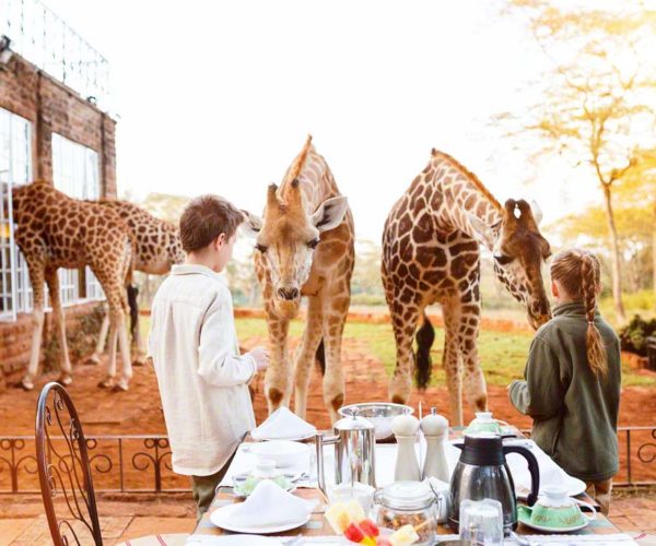 Child friendly giraffe - breakfast with the Giraffes at the Manor