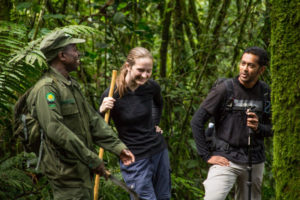 How Safe is gorilla trekking