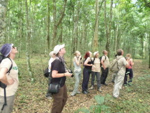 Maramagambo forest Walk - Realm Africa Safaris