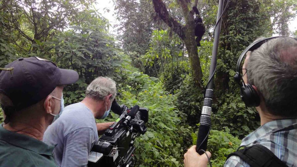 Filming in Bwindi Forest National Park