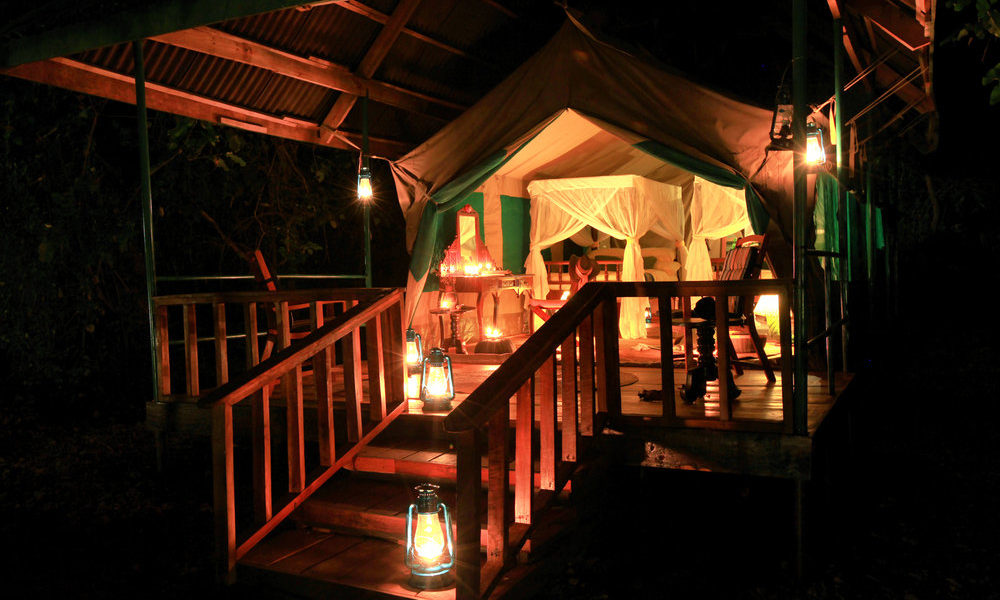 Gombe Forest Lodge 1