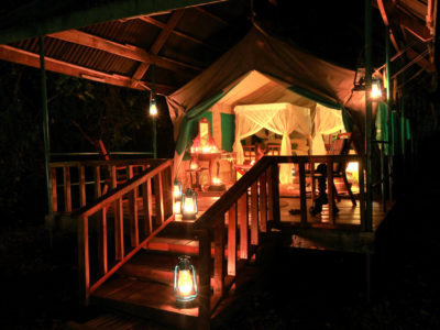 Gombe Forest Lodge 1