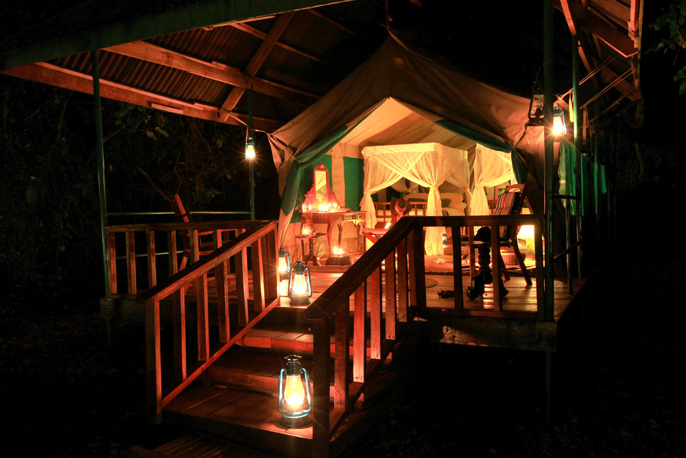 Gombe Forest Lodge 1