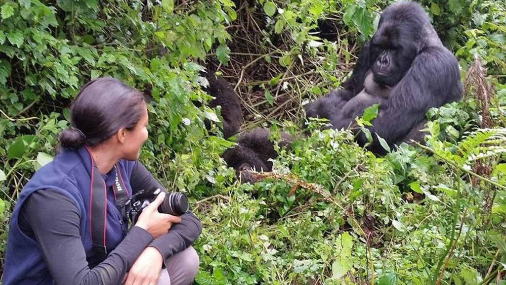 13 Days Uganda Camping Safari | top Uganda Gorilla Safaris