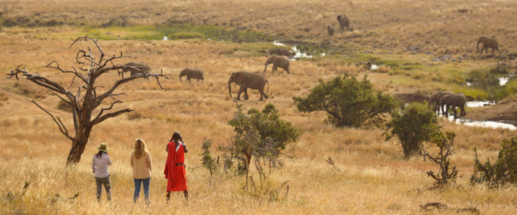 11 Days Masai Mara and Gorillas