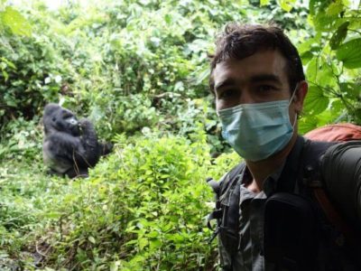 Gorilla Trekking in Rwanda Resumes during COVID-19