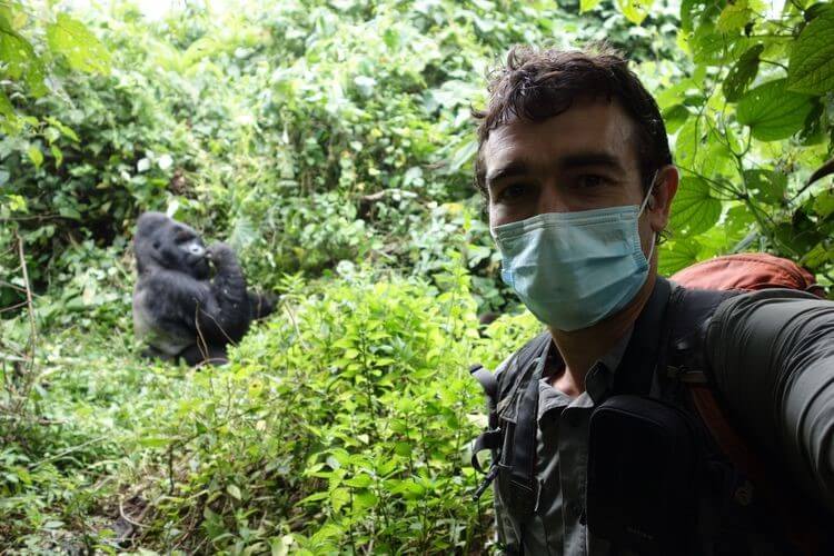 Gorilla Trekking in Rwanda Resumes during COVID-19