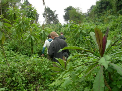 Gorilla trekking for teenagers below 15 years